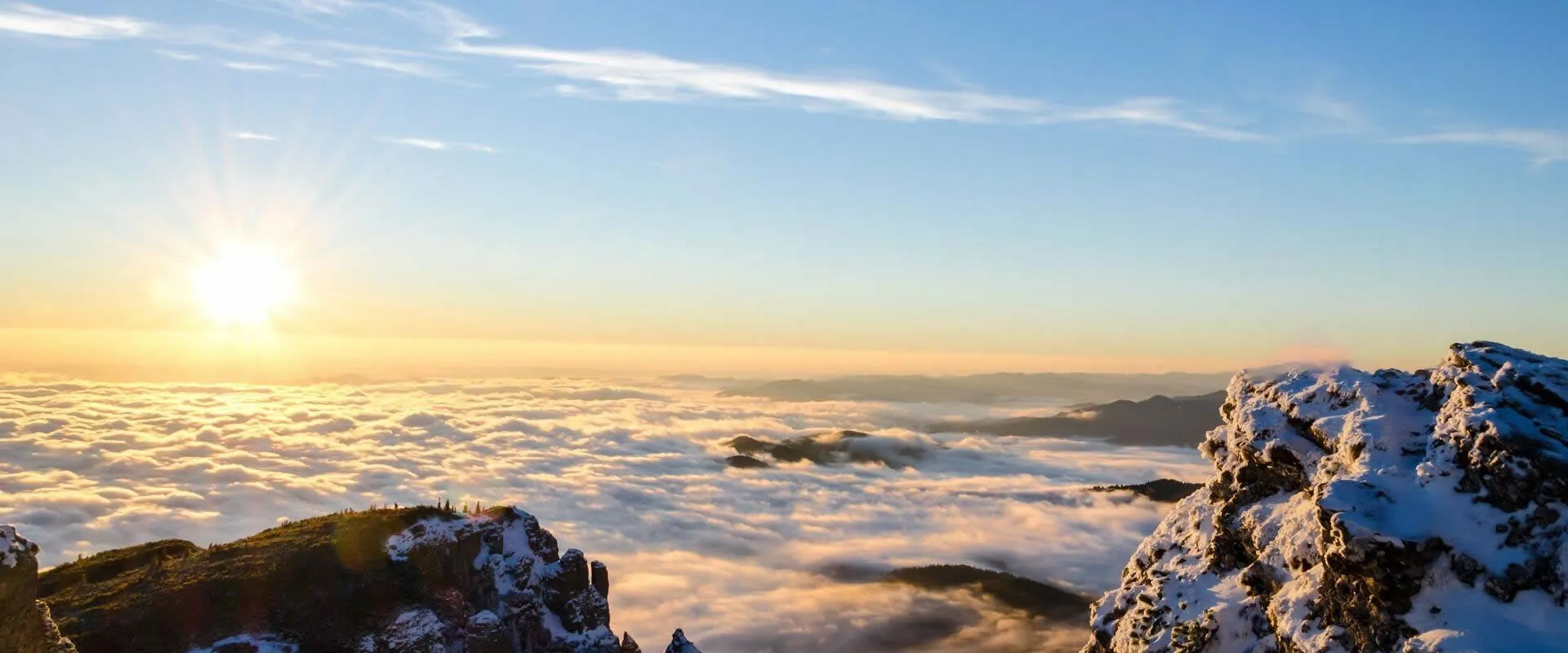 We take pride in delivering expert technology and solutions that meet your unique needs.