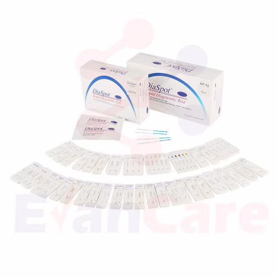 Typhoid AG Test Typhoid Rapid Test