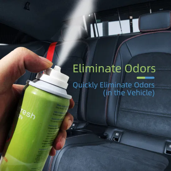 Allgo Aerosol Hand Sanitizer Disinfection Spray Household Deodorant Kill 99.99% Germs
